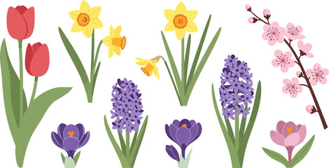 Collection of Various Spring Flowers and Blossoms.