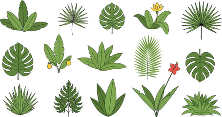 Collection of Various Tropical Leaves and Plants.