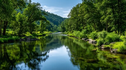 Obraz premium Serene River through Lush Green Valley / 緑豊かな谷を流れる穏やかな川