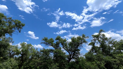 Obraz premium Bright Blue Sky with Clouds and Greenery / 青空と白い雲と木々の緑