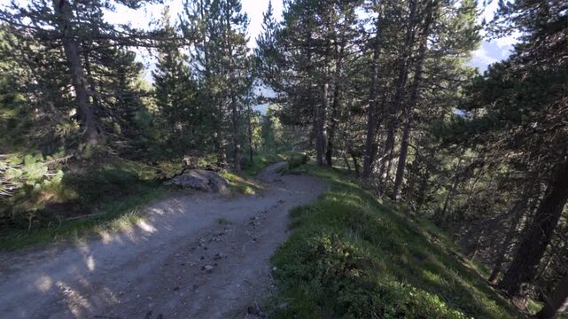 VTT descente sur single tracks en montagne