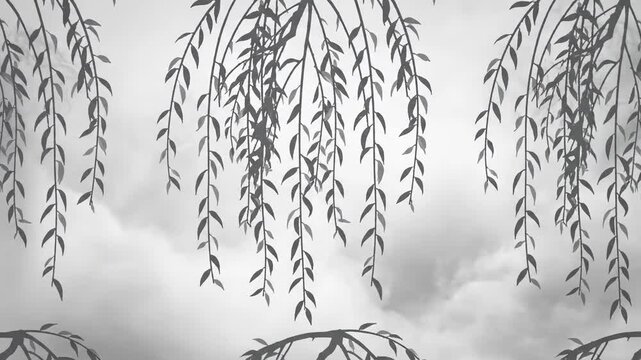 Delicate willow branches hang gracefully against a soft, cloudy sky backdrop