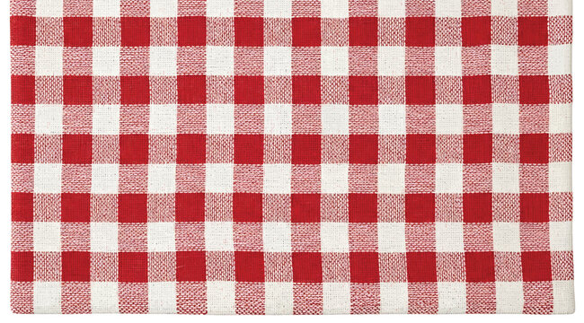 A red and white checkered fabric on a plain white background