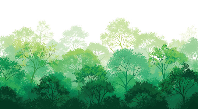 A green forest with trees in the background