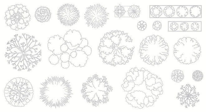 Top View Tree Symbols for Architectural Plans and Landscape Design