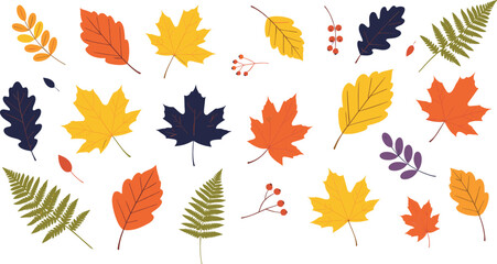 Obraz premium Autumn leaves collection colorful foliage vector illustration seasonal botanical design set