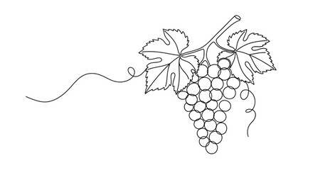 Obraz premium Grapes on Vine - Continuous Line Art