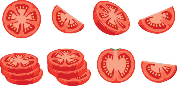 Fresh tomato slices collection vector illustration healthy vegetable food ingredient set