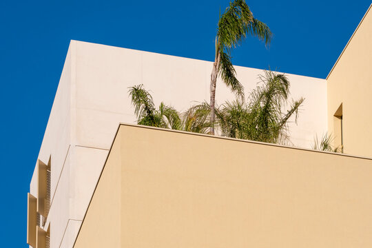 Geometric minimal modern residential architecture facade with palms in Port Marianne Montpellier France showcasing clean lines and bright sky