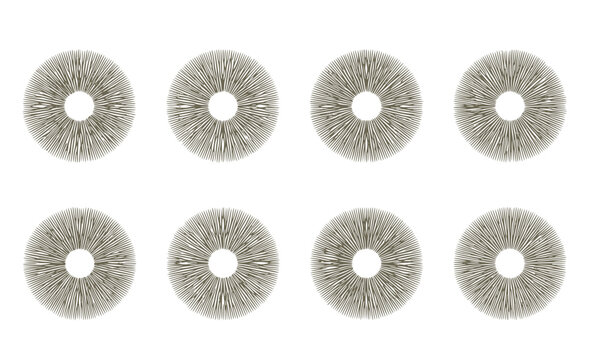 Mushroom Spore Print Silhouette Set - Black Radial Symmetry Fungi Identification Graphics Isolated on White