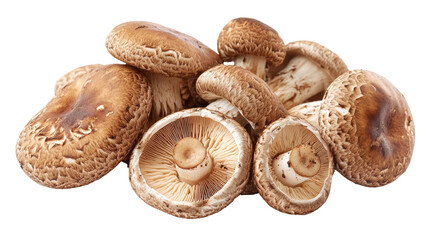 Fresh brown mushrooms isolated on transparent background