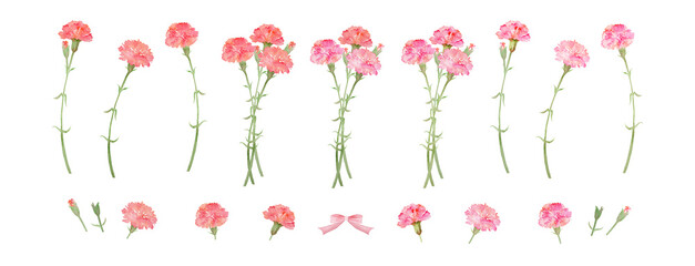 Watercolor Carnation Flower Element Set: Pink Floral Parts for Mother's Day-300dpi-