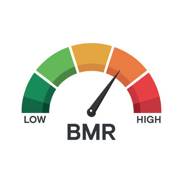 BMR Level Meter Speedometer Gauge Indicator Basal Metabolic Rate Vector Illustration
