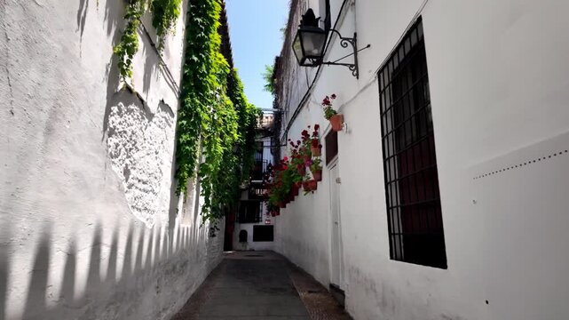 POV walking shot entering the vast Patio de Crucero courtyard through a historic stone archway at the Alc&aacute;zar de los Reyes Cristianos fortress in Cordoba, Spain.