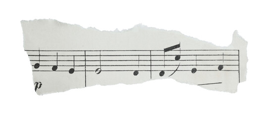 Torn fragment of musical sheet with notes isolated on transparent background. Vintage music paper detail suitable for design, collage, education, and creative layouts © rvlsoft
