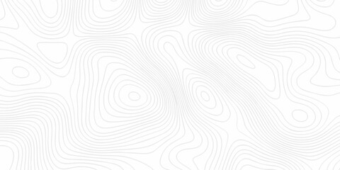 Minimal grid landscape white and gray area curve topography elevation map design. wave diagram contour stripe spiral composition discovery paper surface design. © haven lklkj11