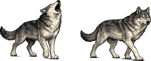 wolf isolated on transparent background © Daus