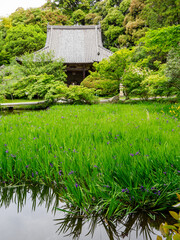 【奈良県】天理市 長岳寺 (2024/05/15撮影)