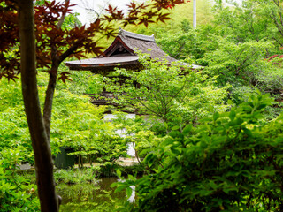 【奈良県】天理市 長岳寺 (2024/05/15撮影)