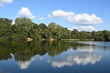 Fototapeta premium Erlensee bei Bickenbach