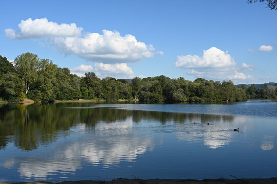 Erlensee bei Bickenbach