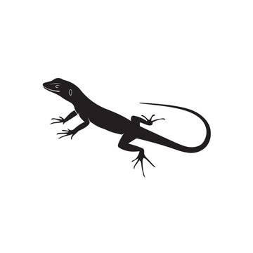 Whiptail lizard silhouette vector depicting a slender, agile reptile with long tail, clean lines, bold shape, scalable design, ideal for wildlife and educational projects.