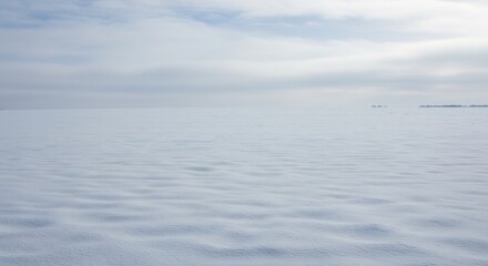 Fototapeta premium 柔らかな曇り空の光が降り注ぎ広大な雪原を静かに照らす波打つ雪面が無限に広がり冬の息をのむような神秘的な白銀の世界を描き出す. AI Generated