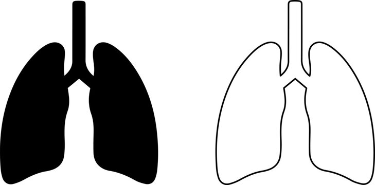 Human lungs anatomy illustration in black and white