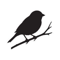 Obraz premium A sparrow bird silhouette vector style