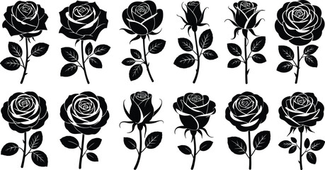 Stylized rose illustrations collection, black and white floral designs, artistic botanical patterns, tattoo inspiration, decorative flower artwork ©  jahanara