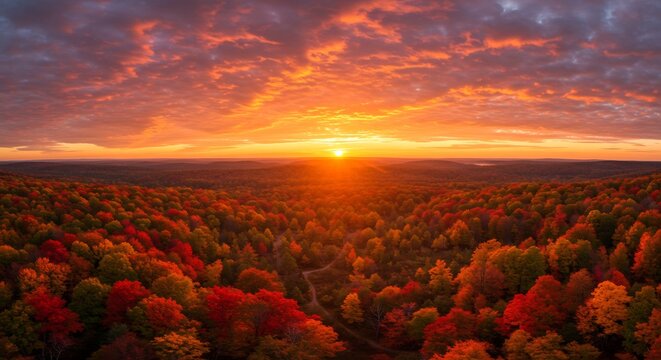 原始の森」の写真素材 | 23,340件の無料イラスト画像 | Adobe Stock