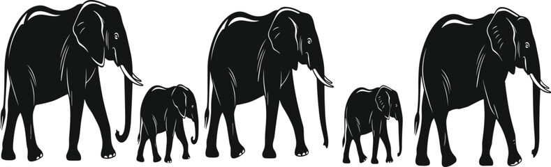 Black and white silhouette vector illustration of an elephant family walking in a row, isolated on white background for design. © MdFiroz