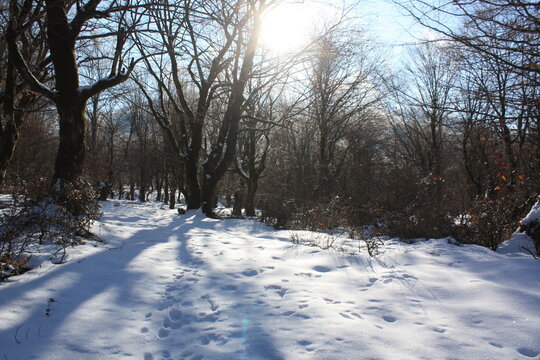 Beautiful winter landscape