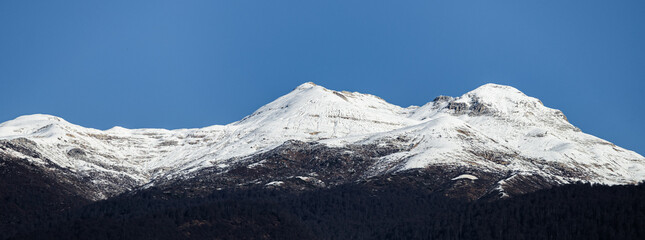 Snowy mountain range with dark evergreen forest under clear blue sky. Scenic alpine winter landscape panorama. High quality nature background for travel, hiking and outdoor adventure concepts.
