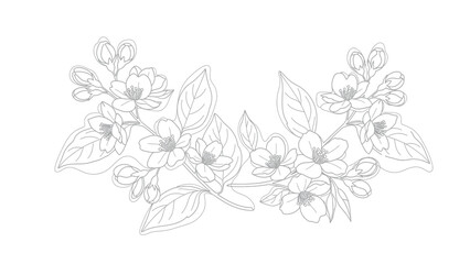 Fototapeta premium A symmetrical, linear illustration of flowers, buds, and leaves. White background