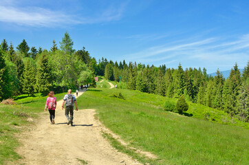 Obraz premium Group of tourists walk along the hiking trail on a sunny summer day, Tobolow peak, Gorce mountains, Poland