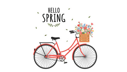 Fototapeta premium Hello spring greeting features a red vintage bicycle with a wooden crate full of colorful wildflowers on a white background.