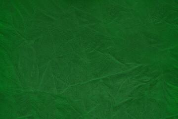 Obraz premium Beautiful green background with leather texture