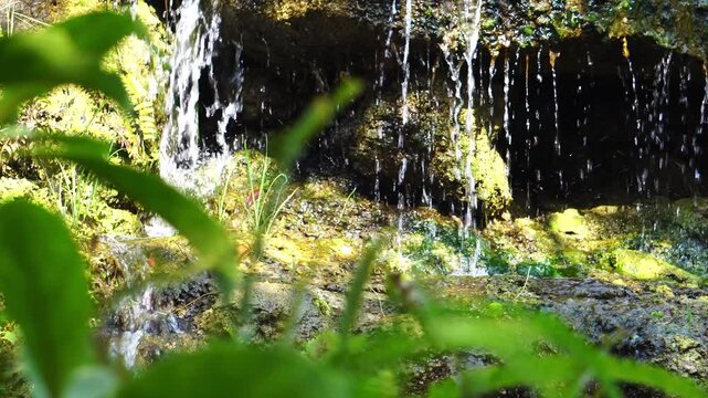 Crystal clear stream flowing over moss-covered rocks in a lush, peaceful forest