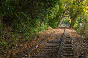 Obraz premium 日本 鳥取県倉吉市関金町にある旧国鉄倉吉線、泰久寺駅の廃線跡の線路と紅葉した木々