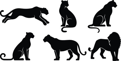 Black big cat silhouettes collection, lion leopard panther jaguar cougar feline predator wildlife animal vector illustration set isolated © Hey There