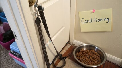 Dog Training Leash and Food Bowl by Interior Door with Signage