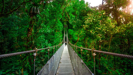 Long suspension bridge through the tropical rainforest of Mistico Park in Costa Rica