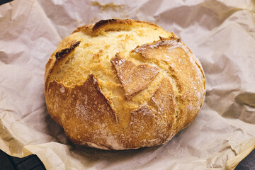 Golden sourdough bread with cracked crust in red ceramic Dutch oven, lined with parchment paper. Perfect for culinary, baking, and food photography projects.