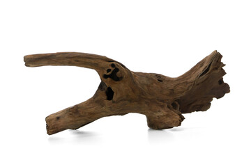 Natural Driftwood Branch Isolated on White Background