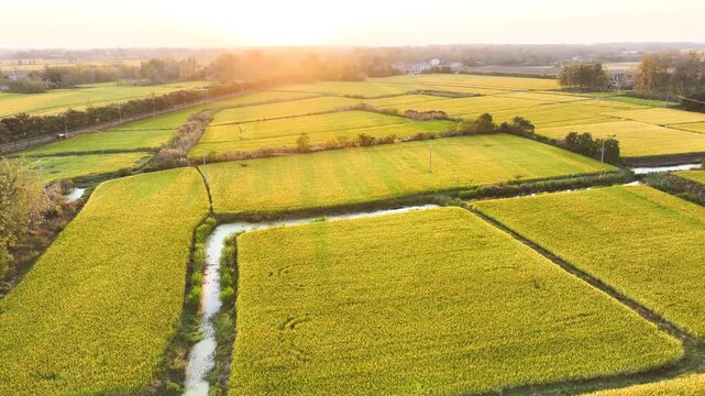 Aerial European Farmland with Golden Fields and Irrigation Channels at Sunset