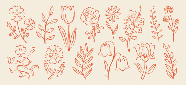 Collection of hand-drawn chalk flowers for grunge design. Wax crayon, ink and paint drawings of wildflowers and herbs. Textured botanical doodle silhouettes. Vector graphic