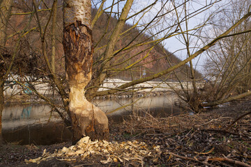 Winterspaziergang durch alte Burgen und Kastelle vorbei an Natursteinmauer und antiken T&uuml;ren/ Fenster, Bruchsteinmauern, mit Schnee und Eis bedeckt Europa Deutschland Mittags  