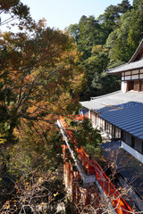 楓の紅葉が美しい鞍馬寺境内の風景