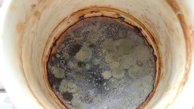 Close-up of mold in a mug. Fungi on the surface of old tea